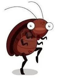 Why-Cockroach-Only-Come-out-at-Night.jpg